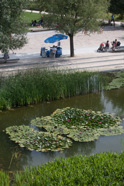 Parc Martin Luther King, Projet Clichy Batignolles