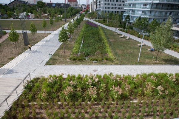 Parc Martin Luther King, Projet Clichy Batignolles