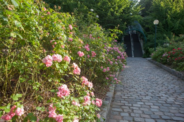 Parc De Belleville, jardin