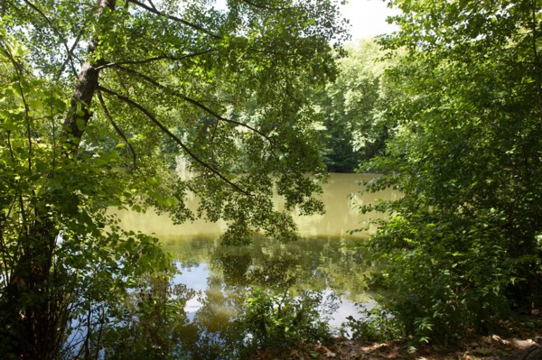 Forêt De Meudon, bois et nature autour de L'étang de Chalais