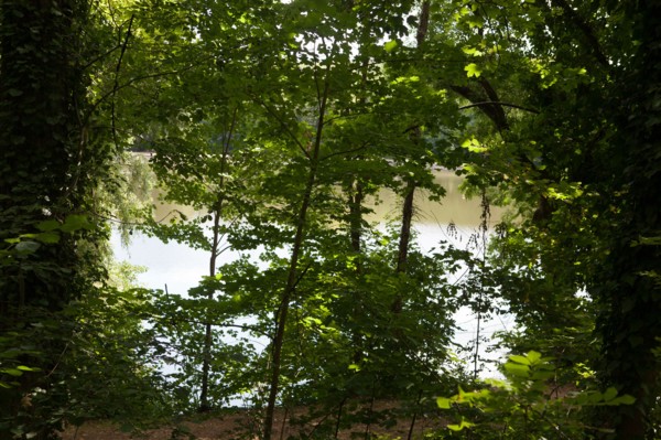 Forêt De Meudon, bois et nature autour de L'étang de Chalais