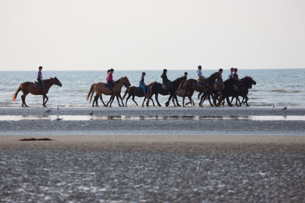 Cabourg, Plage