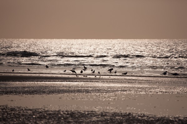 Cabourg, Plage