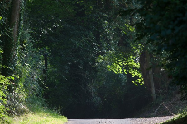 Touques, Chemin