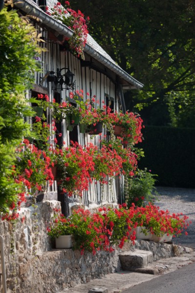 Touques, Chemin De La Coquetiere