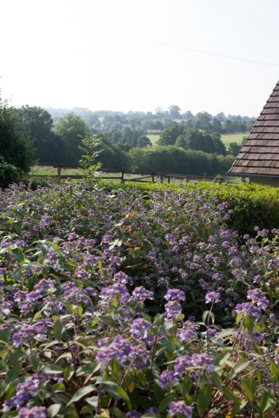 Touques, Chemin De La Coquetiere