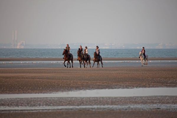 Houlgate, Plage
