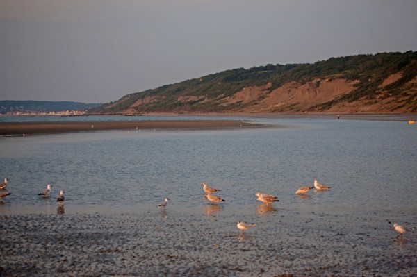 Houlgate, Plage