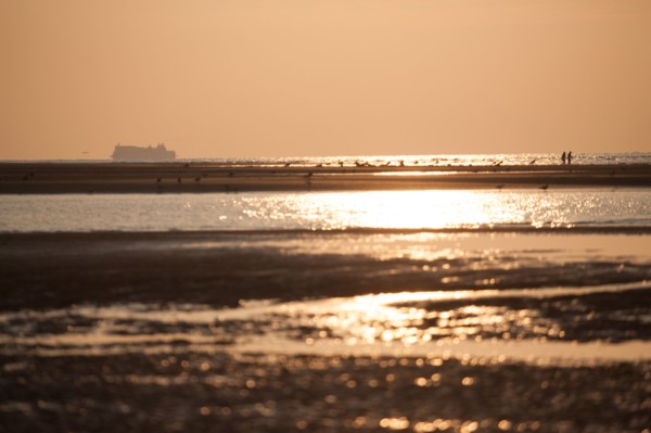 Houlgate, Plage