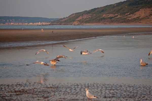 Houlgate, Plage