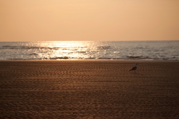 Houlgate, Plage