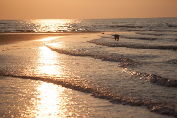 Houlgate, Plage