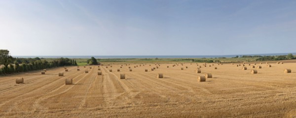 Plages du débarquement, Côte de Nacre