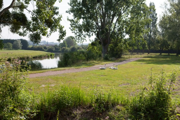 Saint Arnoult,