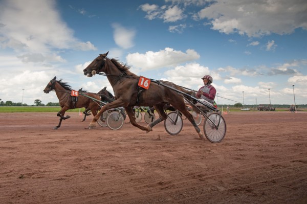 Lisieux, Hippodrome de la Trésorerie