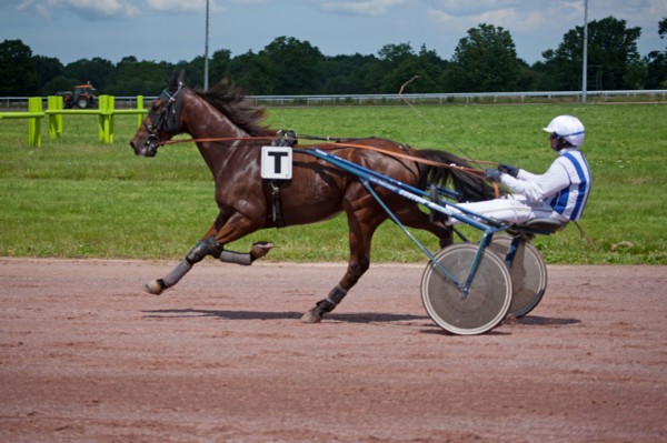 Lisieux, Hippodrome de la Trésorerie