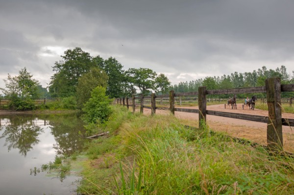Haras De Pitz, Ecurie Danover