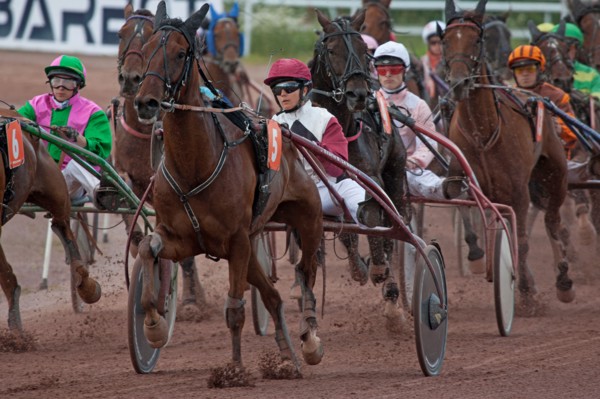 Lisieux, Hippodrome de la Trésorerie