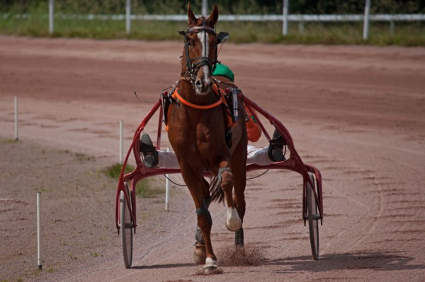 Lisieux, Hippodrome de la Trésorerie