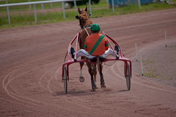 Lisieux, Hippodrome de la Trésorerie
