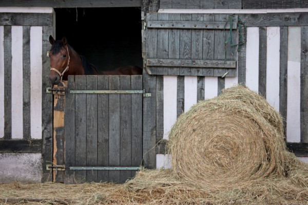 Haras De Pitz, Ecurie Danover