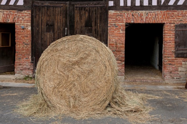 Haras De Pitz, Ecurie Danover