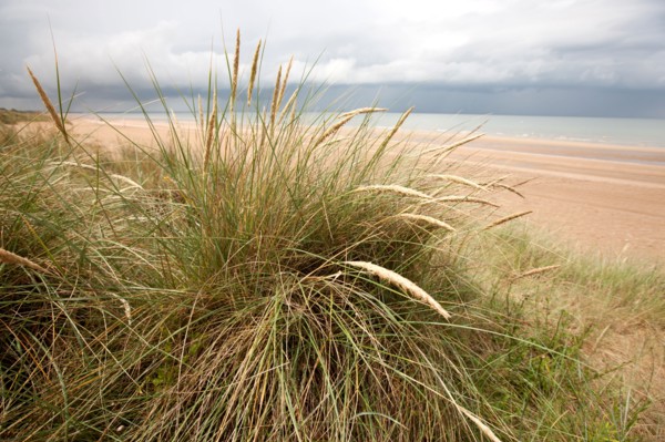 Pays D'Auge, Plage De Merville Franceville