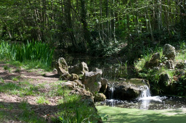 Bois De Vincennes, pathway