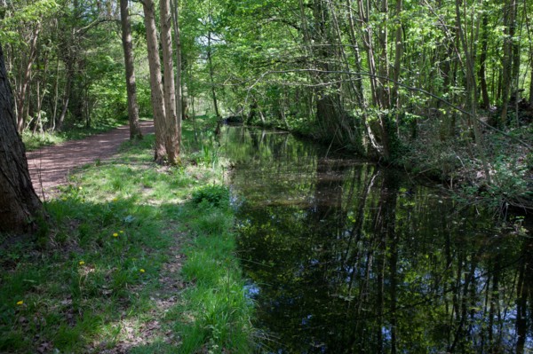 Bois De Vincennes, Allee