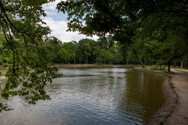 Bois De Boulogne,Etang Du Reservoir