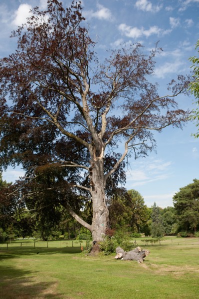 Bois De Boulogne, Le Pré Catelan