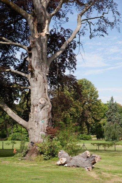 Bois De Boulogne, Le Pré Catelan