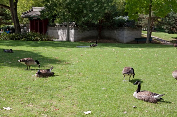Jardin d'Acclimatation,