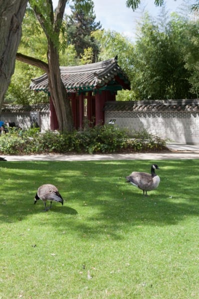 Neuilly sur Seine, Jardin d'Acclimatation