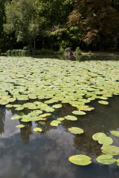 Domaine De Longchamp,Etang De Longchamp