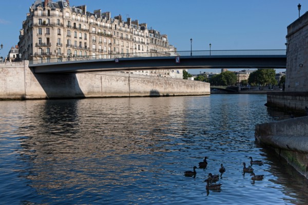 L'Ile De La Cité, Quai Aux Flleurs Depuis le quai D'Orleans