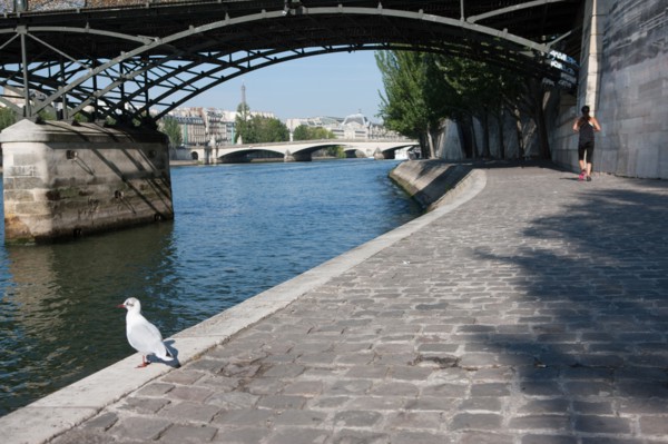 Quai Francois Mitterrand (Quai Des Tuileries) Berges de Seine, Pont Des Arts Et Institut de France, Quai De Conti En Face