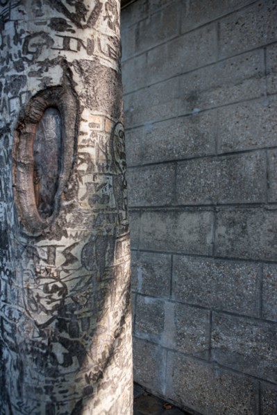 Quai Francois Mitterrand (Quai Des Tuileries) Berges de Seine, Arbre Grave De Messages D'Amour