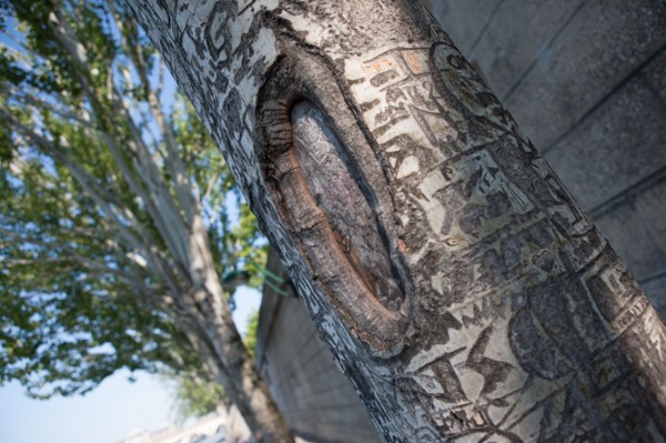 Quai Francois Mitterrand (Quai Des Tuileries) Berges de Seine, Arbre Grave De Messages D'Amour