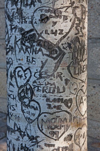 Quai Francois Mitterrand (Quai Des Tuileries) Berges de Seine, Arbre Grave De Messages D'Amour
