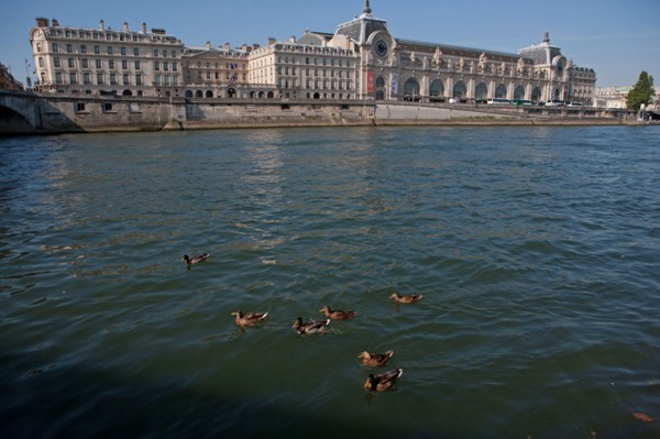 Quai Des Tuileries, Face Au Musée D'Orsay