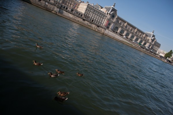Quai Des Tuileries, Face Au Musée D'Orsay