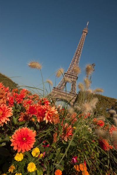 Champ de Mars, Tour Eiffel