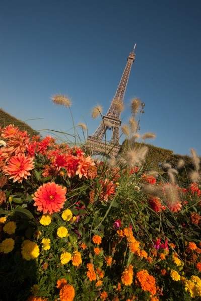 Champ de Mars, Tour Eiffel