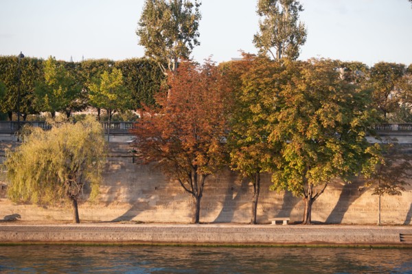 Quai Des Tuileries, Berges