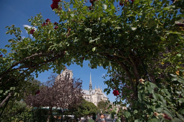 5e Arrondissement, Square Rene Viviani