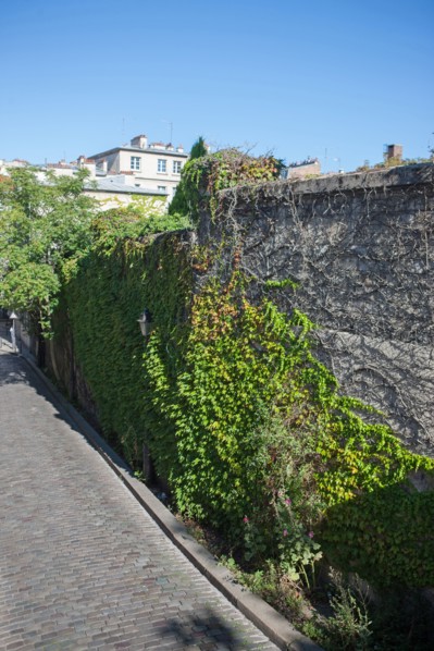 18e Arrondissement, Rue Saint Vincent