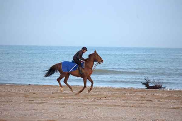 Deauville hors saison
