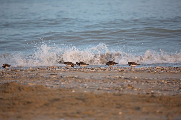 Deauville hors saison