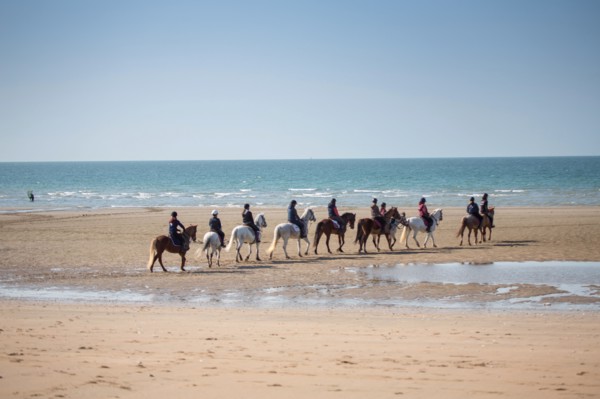 Villers-sur-Mer, chevaux et poneys sur la plage